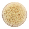 EcoTools Dry Body Brush (sustainability and use care card shown)